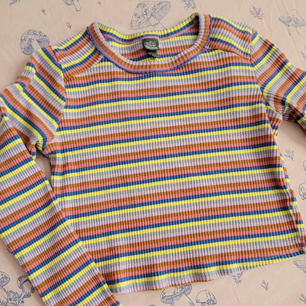 Rainbow Striped Crop Top